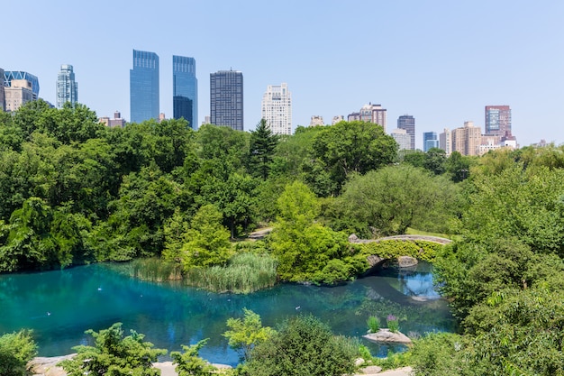 Central Park The Pond Manhattan New York