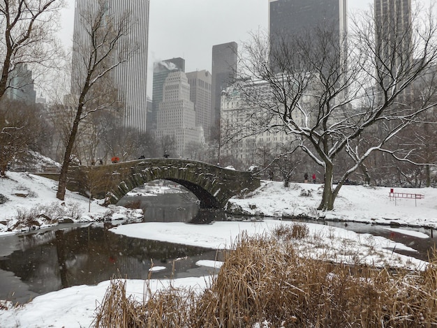 겨울 눈 뉴욕 맨해튼의 센트럴 파크