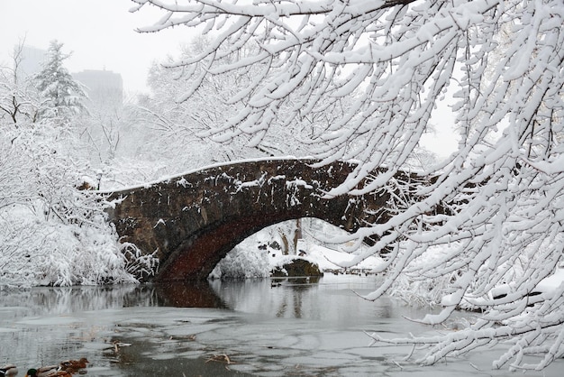 Central Park winter with stone bridge in midtown Manhattan New York City