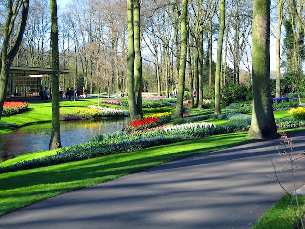 公園の中央部、池、背の高い木々、色とりどりの春の花が咲く美しい花壇 オランダ