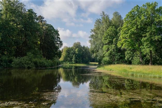 Central Rosovopavilionny pond in Pavlovsky Park on a sunny summer day Pavlovsk St Petersburg Russia