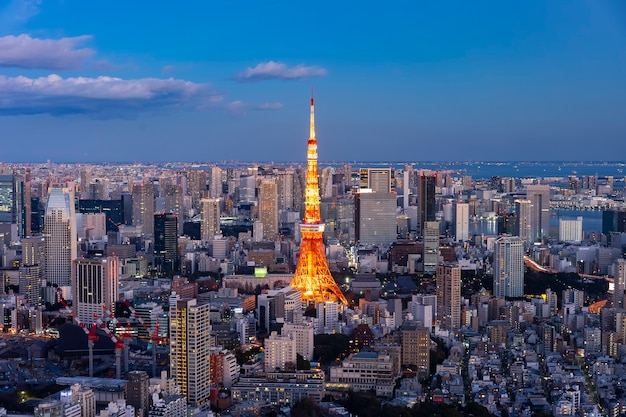東京都心と東京タワー プレミアム写真