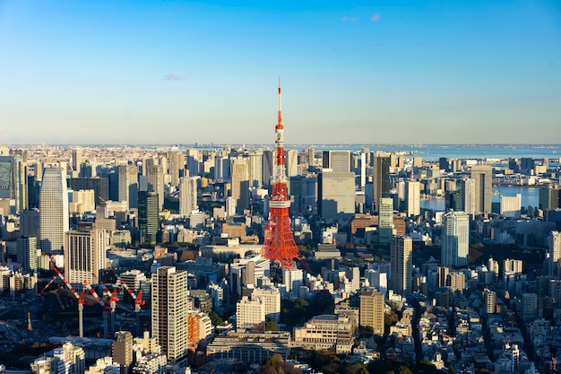 東京都心と東京タワー