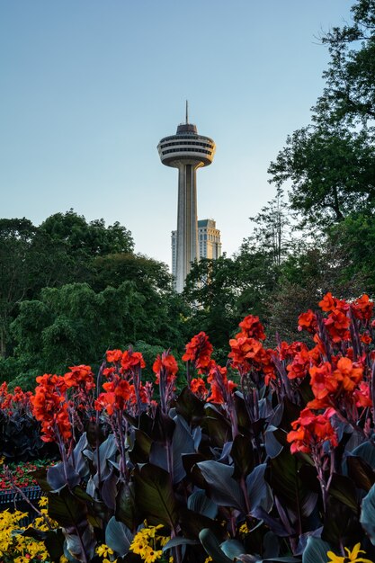 Centrum van Niagara Falls City, bloemen en Skylon-toren