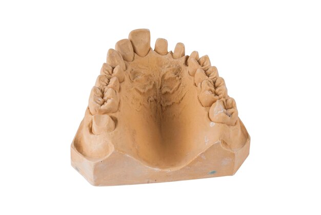 Photo ceramic dentures isolated