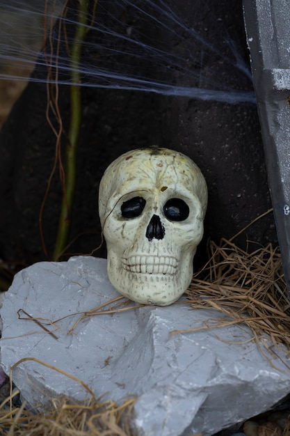 Ceramic skull with pumpkin concept on copy space.