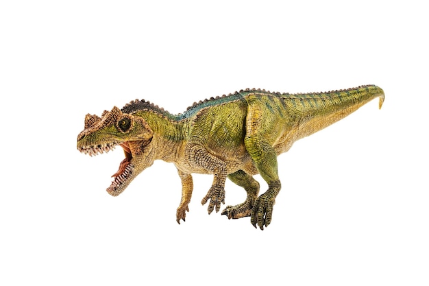 Ceratosaurus Dinosaur on white background