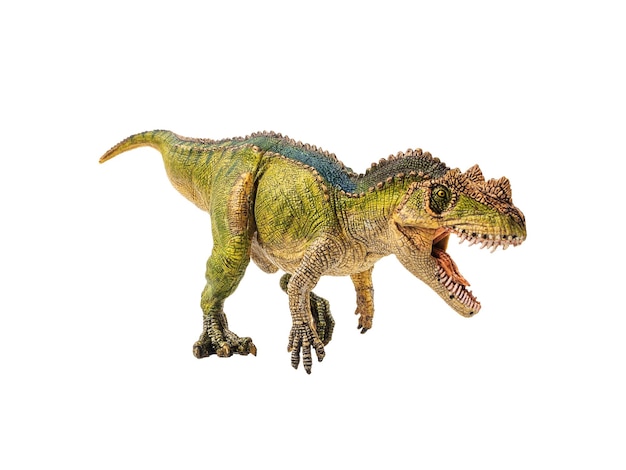 흰색 바탕에 Ceratosaurus 공룡