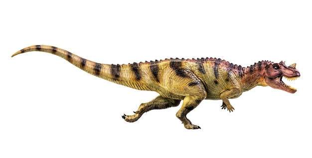 Ceratosaurus dinosaur su sfondo bianco isolare tracciato di ritaglio