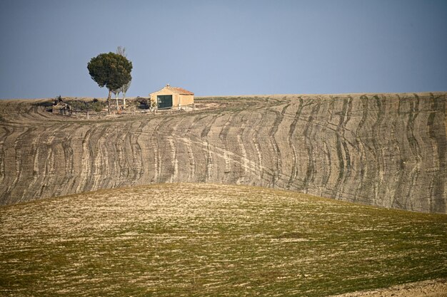 Cerealistic landscape of the granada geopark