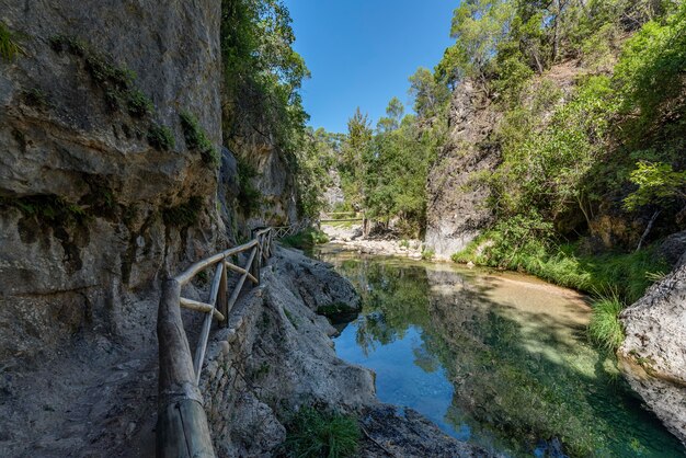 Foto cerrada de elias nel parco naturale di cazorla