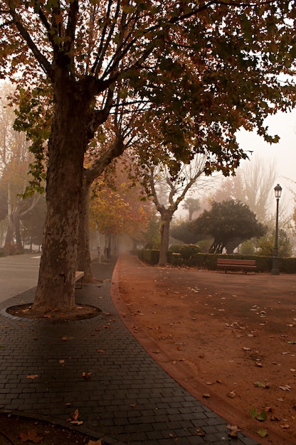 Cervantes park or alameda de baza granada