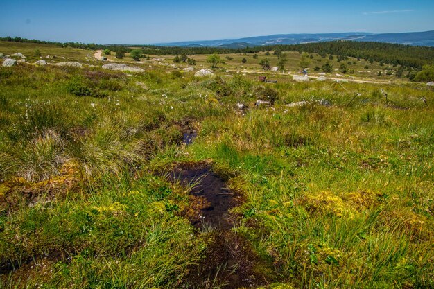 Cevennen nationaal park