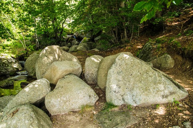 Cevennen nationaal park