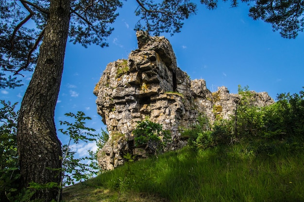 Cevennes national park