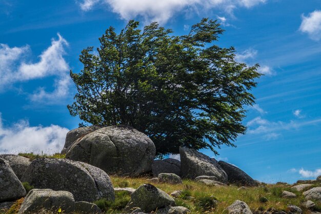 Cevennes national park