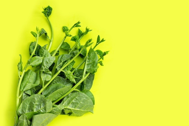 Photo ceylon spinach leaves on green surface.