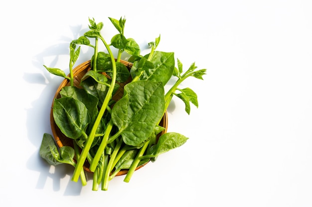 Ceylon spinach leaves.