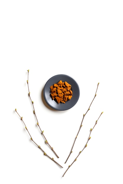 Chaga mushroom. composition of small dry pieces of birch tree fungus chaga in a round plate and birch twigs isolated on a white background.