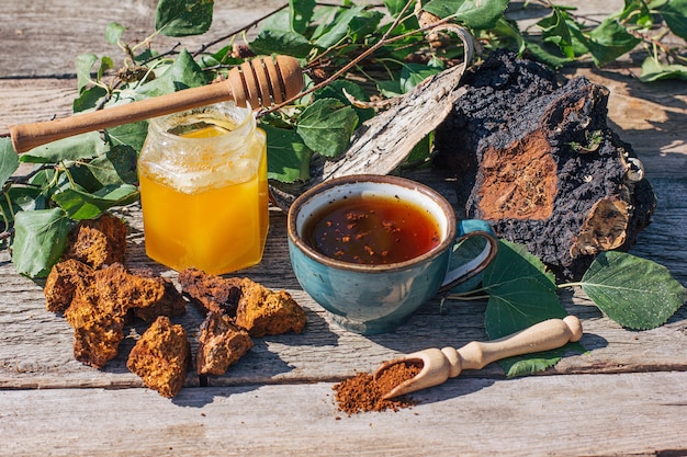 Chaga-thee, een sterke antioxidant, stimuleert het immuunsysteem, gezond, puur natuurlijk, het maken van wilde chaga-paddenstoelen