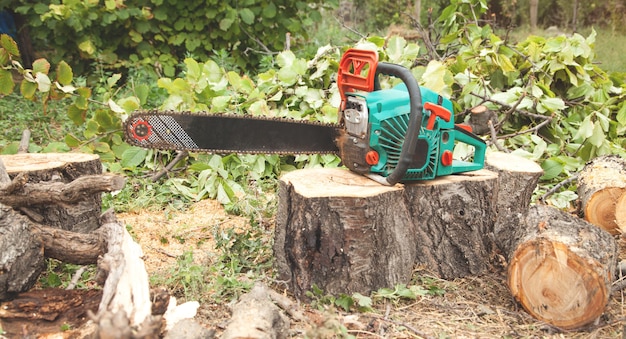 Chainsaw on cut logs into the woods. Tree cutting