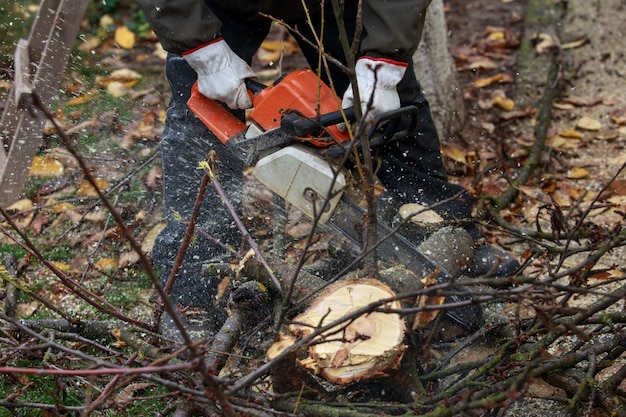 Photo chainsaw in a hands