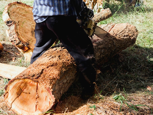 Photo chainsaw in movement cutting wood. lumberjack worker holding an old chainsaw and sawing the log, big tree in the wood, sawdust flying around on the green grass.