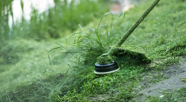 A chainsaw mows the grass Cleaning on site Gardening