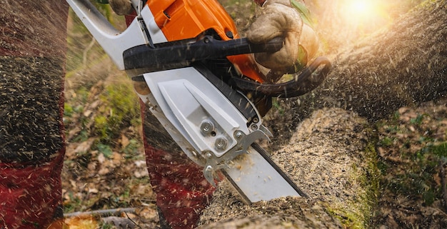 Chainsaw that stands on a heap of firewood in the yard on a beautiful background of green grass and forest. Cutting wood with a motor tester