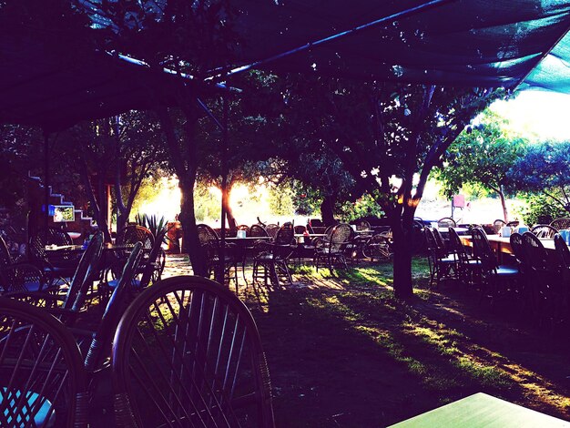 Photo chairs arranged in cafe