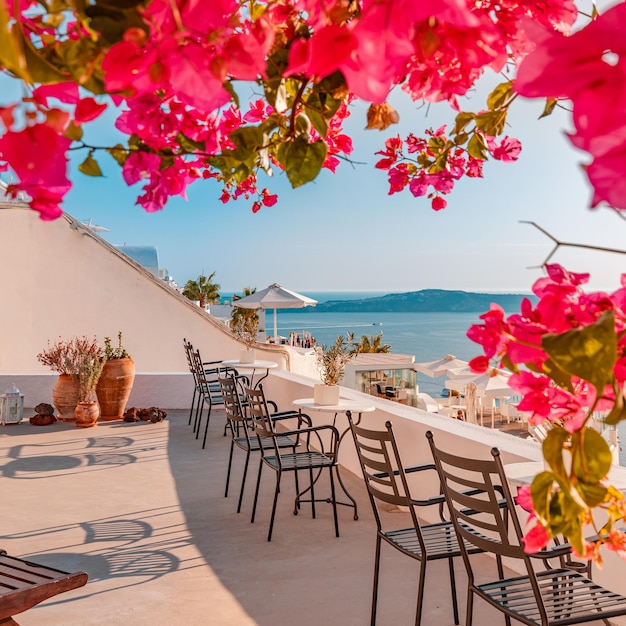 Chairs flowers sunset vacation luxury famous Europe destination. White architecture in Santorini,