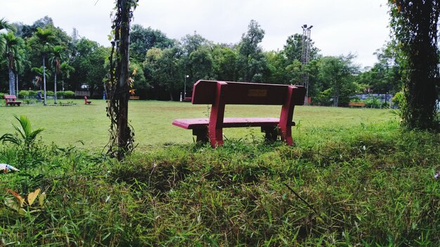 写真 畑の木の向こうの椅子