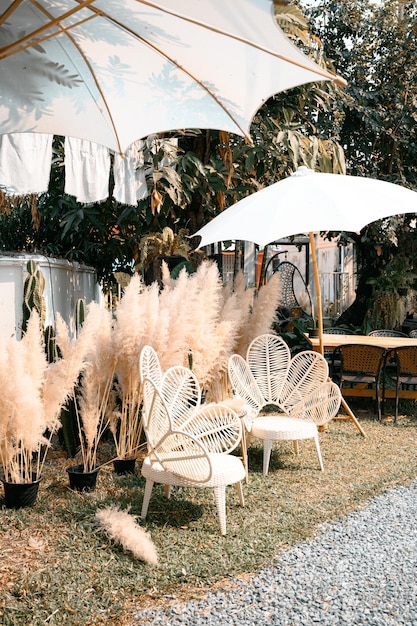 Photo chairs and parasols on beach