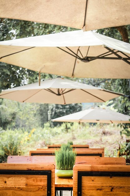 Photo chairs and table against trees