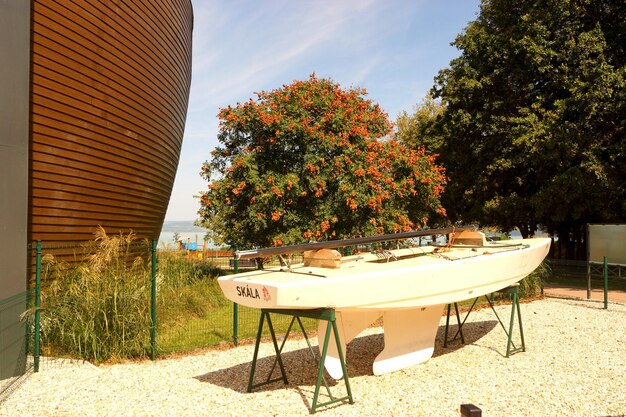 Chairs and table by trees against sky