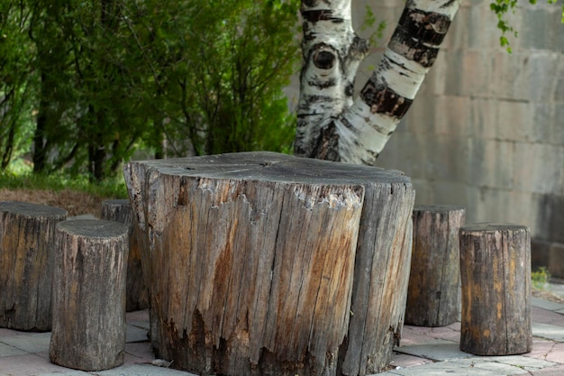 Chairs and a table from a tree trunk