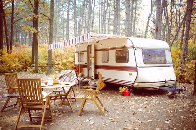 chairs and tables in forest