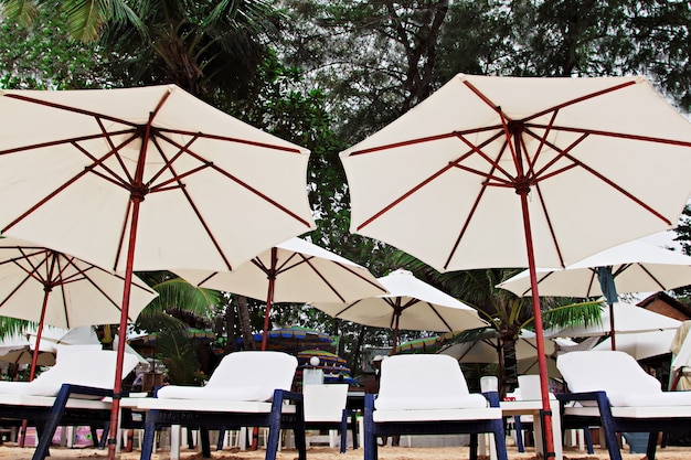 Chairs and umbrellas on the beach