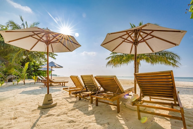 Стулья и зонтики в пальмовом пляже. Баннер тропического отдыха, туристический курорт, туристический фон