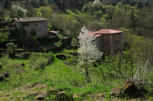 Chalanconhaute loirefrance