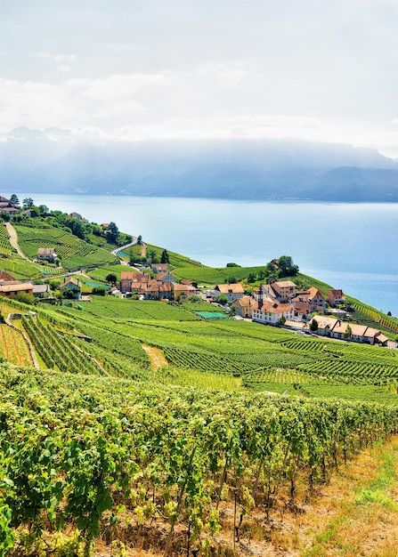 Lavaux Vineyard Terraces 하이킹 트레일, 제네바 호수 및 스위스 산, 스위스 Lavaux-Oron 지역의 샬레