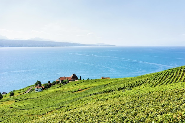 Lavaux Vineyard Terracesハイキングトレイル、ジュネーブ湖、スイスの山々、Lavaux-Oron地区、スイスのシャレー