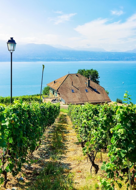 ラヴォー、ジュネーブ湖、スイスの山々、スイスのラヴォーオロン地区のブドウ園テラスハイキングコースの近くのシャレー