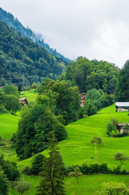 Chalets van het dorp Brienz en de berg Brienzer Rothorn bij Interlaken in het kanton Bern in Zwitserland