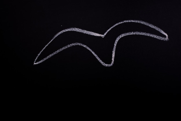 Foto uccello disegnato con gesso su una lavagna in vista