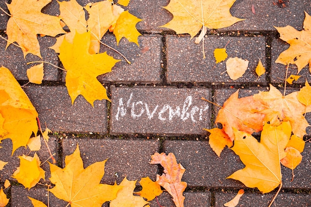 Chalk inscription november on asphalt tile among the autumn leavesconcept autumn falling