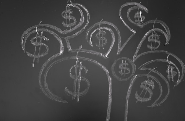 Photo chalk money tree drawing on blackboard background