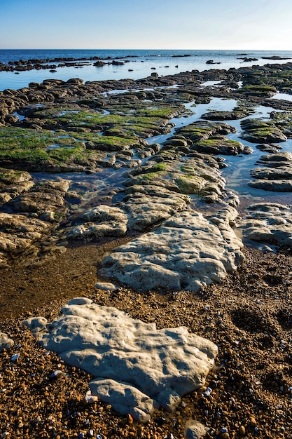 Chalk pavement heading out to sea