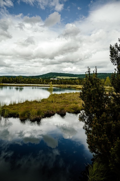 Chalupska 湿原の道 夏の Chalupska 湿原 シュマバ国立公園 チェコ共和国 旅行先 南ボヘミアの風景