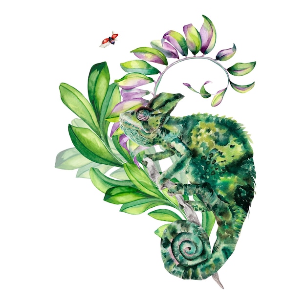 Chameleon colorful summer leaves watercolor illustration on white